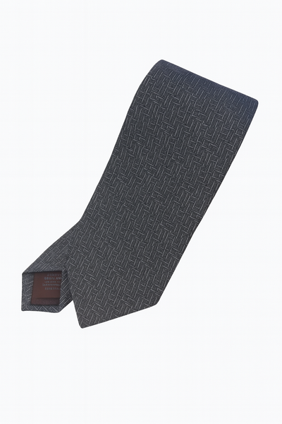 CANALI 100% Silk Tie